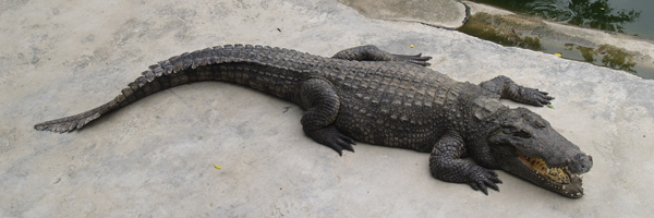 Мотивация на успех в работе