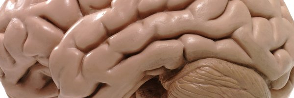 Несколько способов казаться умнее...