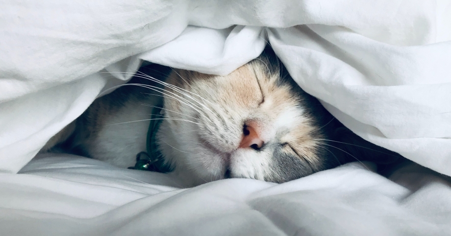 Как спать меньше и выглядеть лучше?